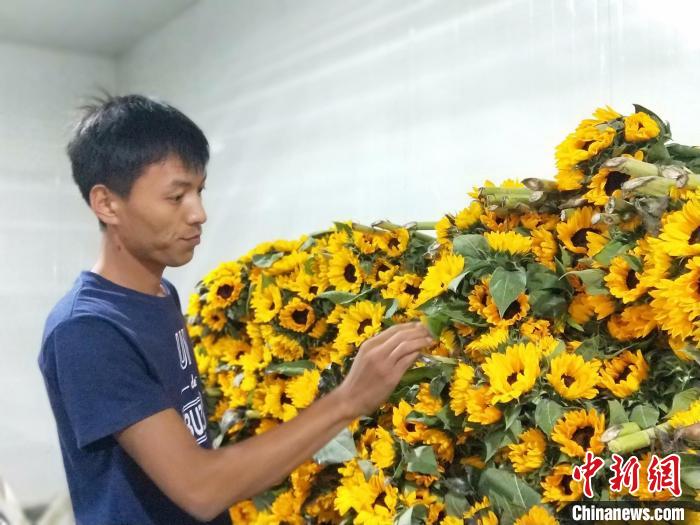 李建耀查看儲備的鮮花情況?！≮w國華 攝