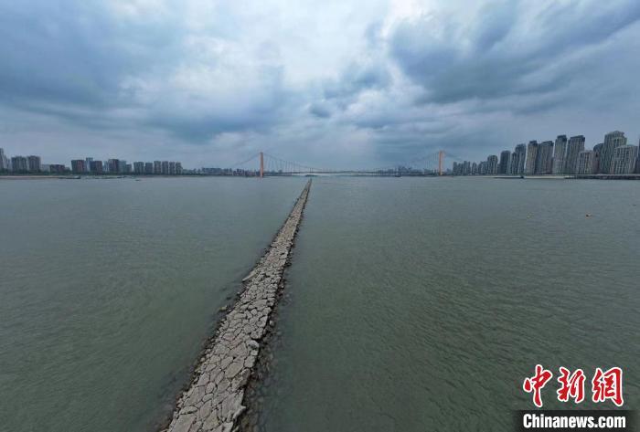 圖為近日長(zhǎng)江武漢段水位退落現(xiàn)“江中道路”　鄭子顏　攝