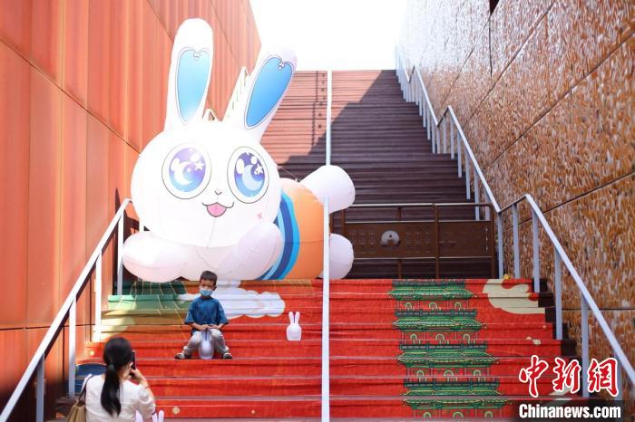 小朋友與兔子合影。　泱波 攝