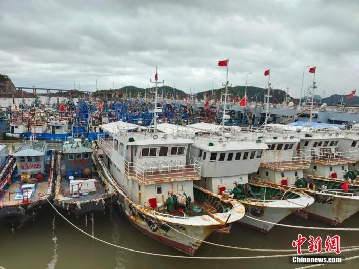 圖為漁船在崇站港避風(fēng)。 王逸飛 攝