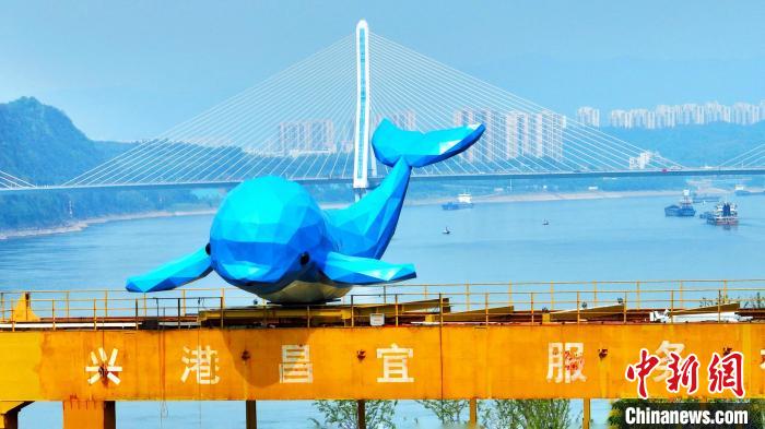 “江豚躍龍門(mén)”成為宜昌新地標(biāo)?！≈苄橇?攝