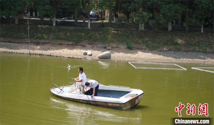 鄱陽湖保護區(qū)和湖北秀湖植物園工程師對擬選基地的水源水質(zhì)狀況進行勘察。　鄱陽湖保護區(qū) 供圖