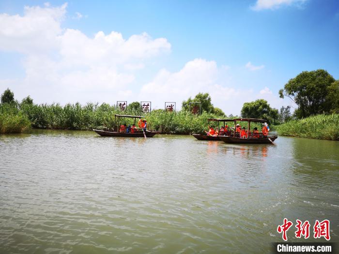 游客乘船進入鹽城大縱湖“蘆蕩迷宮”。　沈春良 攝