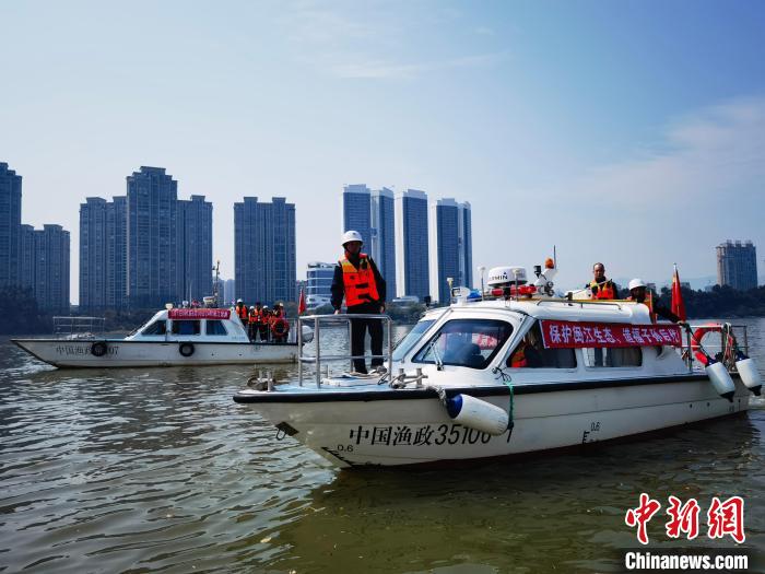 福建省海洋與漁業(yè)執(zhí)法部門(mén)在閩江流域加強(qiáng)執(zhí)法巡查?！「＝ㄊ『Ｑ笈c漁業(yè)執(zhí)法總隊(duì) 供圖