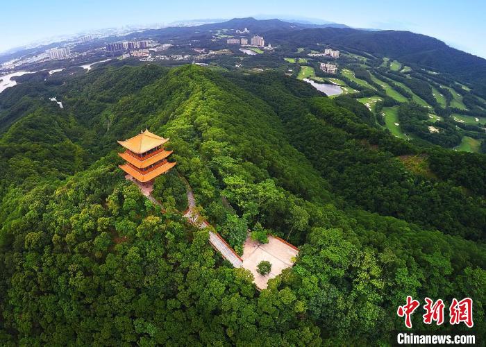 廣東出臺森林旅游發(fā)展規(guī)劃促進人與自然和諧共生