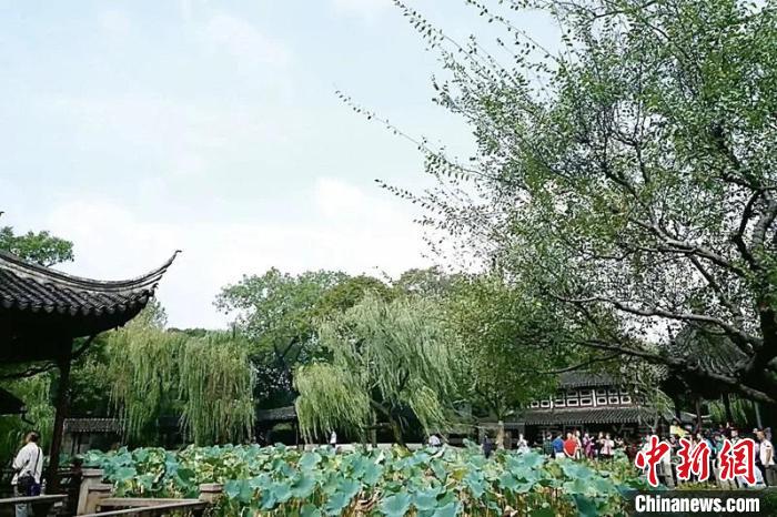 拙政園布局的山島、竹塢、松崗、曲水之趣。圖片來源：臺灣《聯(lián)合報》