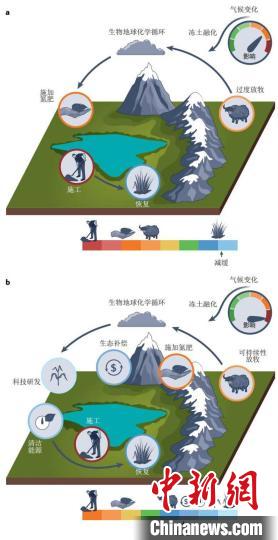 積極的恢復(fù)和碳減排措施有助于實(shí)現(xiàn)可持續(xù)發(fā)展的碳匯功能?！≈锌圃撼啥忌镅芯克﹫D