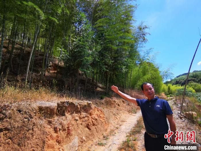 陳毅翔手指處就是當(dāng)年5位紅軍戰(zhàn)士戰(zhàn)斗犧牲的地方——楊梅嶺?！±壮?攝