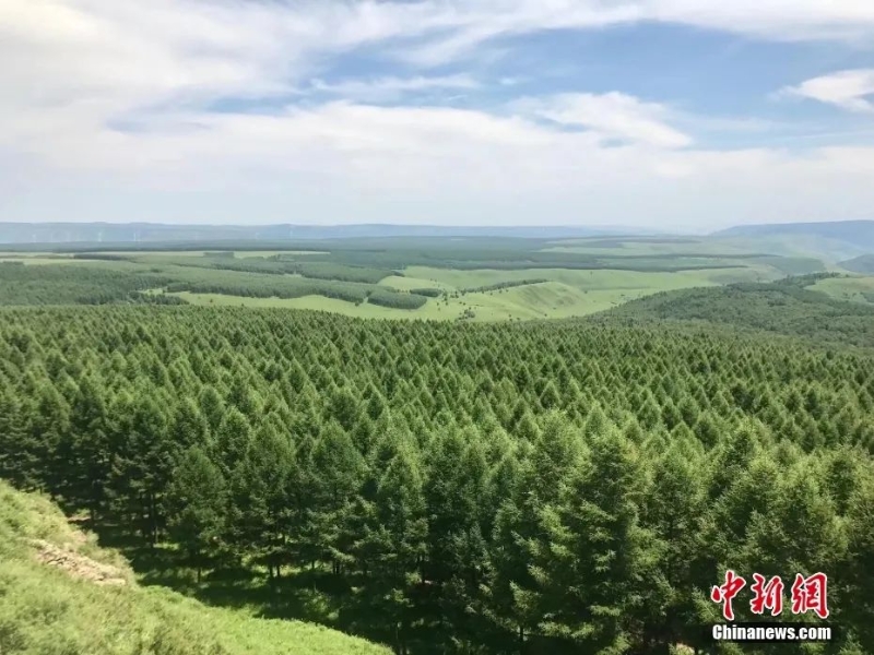 資料圖：塞罕壩林場(chǎng)。圖片來源：視覺中國(guó)
