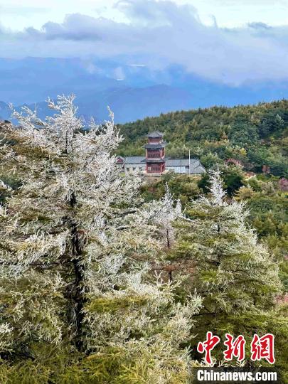 10月4日，泰山之巔現(xiàn)霧凇奇觀，冰雕玉砌、晶瑩閃爍的霧凇綴滿枝頭，一樹樹、一叢叢，甚是好看?！±捉?攝