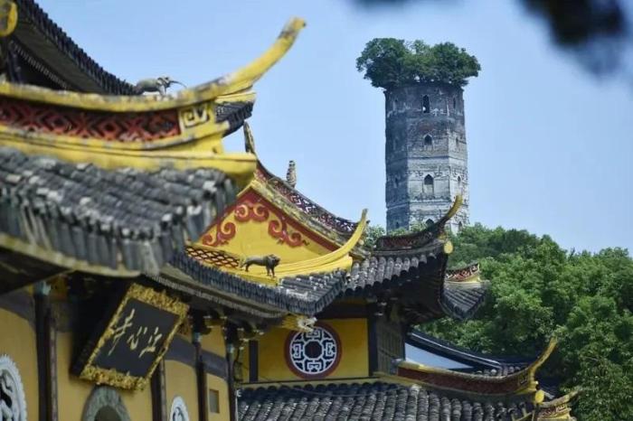 江心嶼東塔，塔頂自然生長一株100多年樹齡的榕樹。圖片來源：臺灣《經(jīng)濟(jì)日報(bào)》