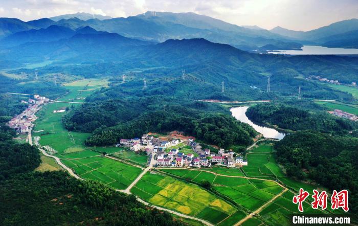 樟樹(shù)市店下鎮(zhèn)生態(tài)環(huán)境優(yōu)良，自然風(fēng)光迷人。　樟樹(shù)市委宣傳部供圖