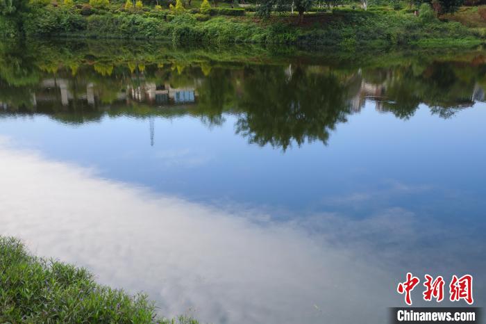 重慶兩江新區(qū)的肖家溝水庫(kù)是嘉陵江水系跳墩河的源頭，如今已打造成魚翔淺底的生態(tài)之湖。　梁欽卿 攝