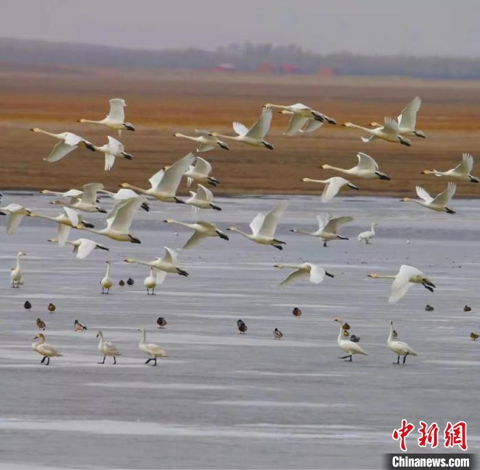 圖為如今的渾善達克沙地腹地?！」苡佬?攝