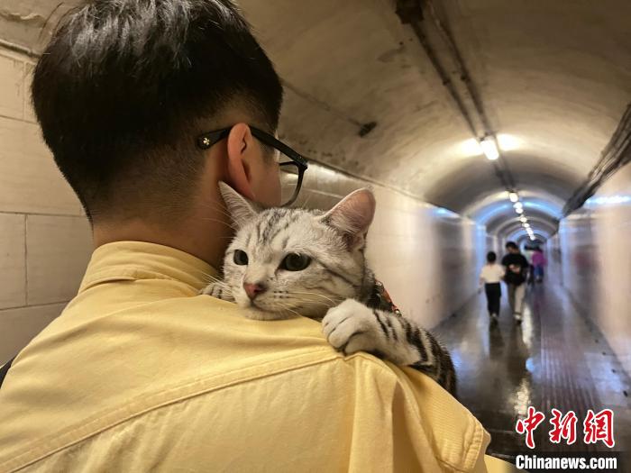 圖為張瑜軒在貴陽(yáng)工作之余，常會(huì)帶著家里的寵物一起出游?！∈茉L者供圖
