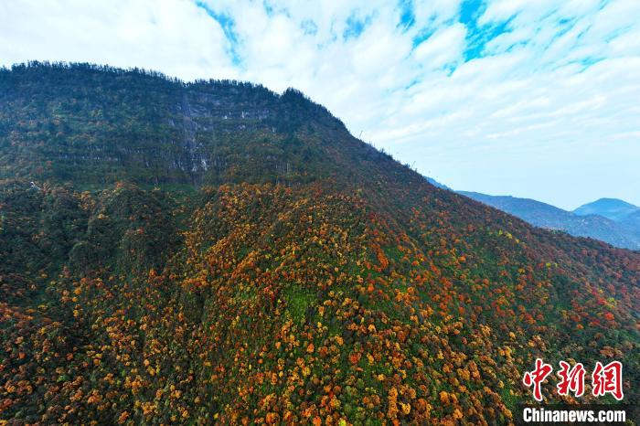色彩斑斕的瓦屋山?！⒅铱?攝