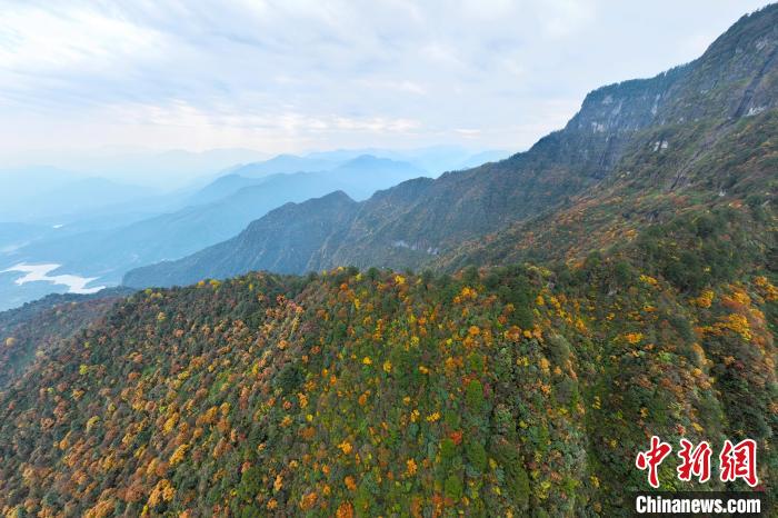 美不勝收的瓦屋山秋景?！⒅铱?攝