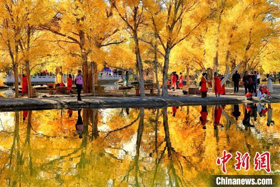 2018年10月下旬，甘肅酒泉市金塔沙漠胡楊林景區(qū)。但在40多年前，這里還滿目皆是光禿禿的荒漠。　楊志彬 攝