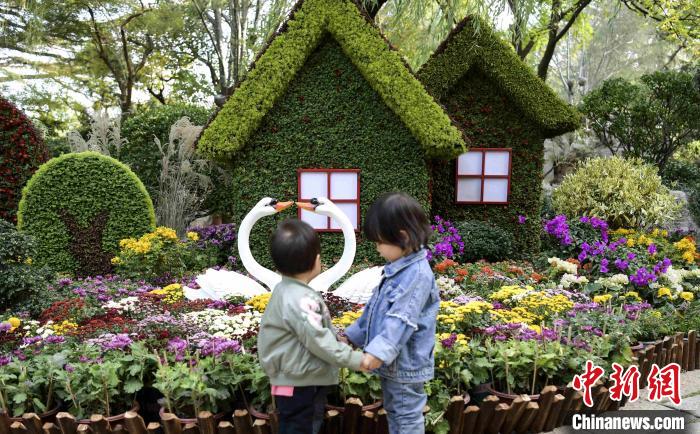 10月25日，第43屆趵突泉金秋菊展在濟南天下第一泉風景區(qū)開幕?！堄?攝