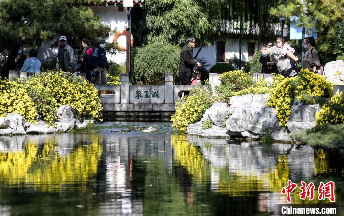 10月25日，第43屆趵突泉金秋菊展在濟南天下第一泉風景區(qū)開幕?！堄?攝