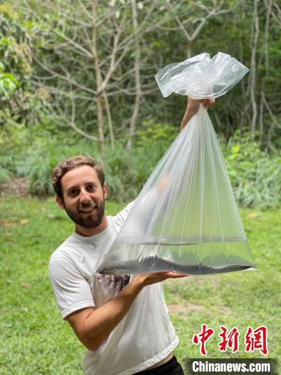 論文第一作者手拿一只美洲肺魚，他剛在巴西的亞馬遜研究所進(jìn)行完錄音(圖源：Basil Minder)?！∈┢樟指瘛ぷ匀?供圖