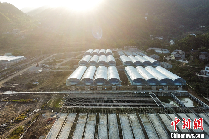 圖為10月19日，航拍初見雛形的“魚菜共生”基地。（無人機照片） <a target='_blank' href='/'>中新社</a>記者 何蓬磊 攝