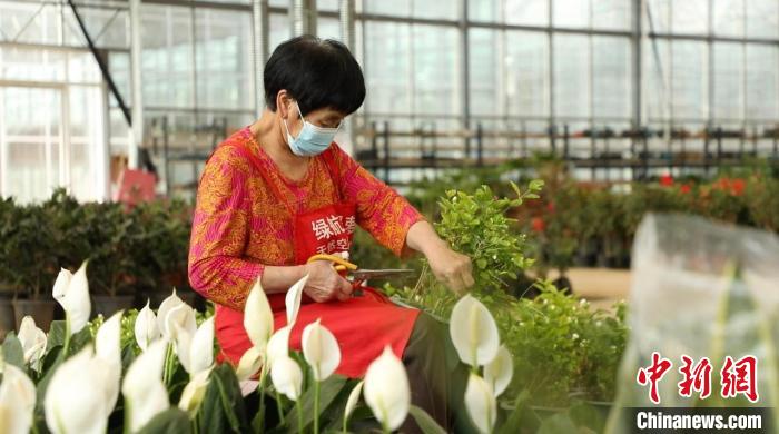 資料圖：忙碌的身影穿梭在果園村的蔬菜花卉繁育基地中。向上 攝