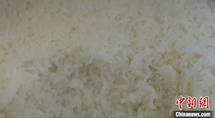 用“巨型稻”煮熟的米飯。　建德市委宣傳部供圖