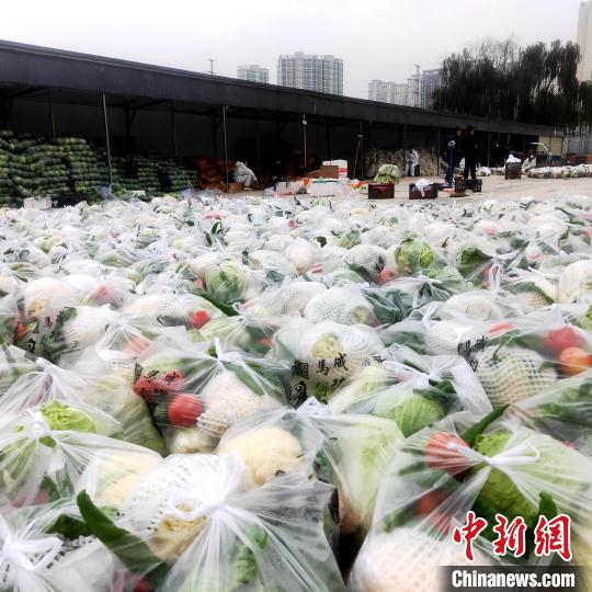 西寧應(yīng)對(duì)疫情：蔬菜分級(jí)批發(fā)，熱線(xiàn)回應(yīng)疑問(wèn)