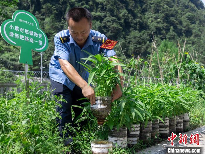 圖為改為無人值守前，員工在打理種植的蔬菜?！□r聯(lián)平 攝
