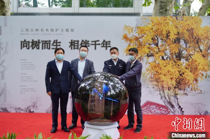 上海留住歷史見證和鄉(xiāng)愁：工程建設(shè)讓位古樹保護(hù)、為名木建園