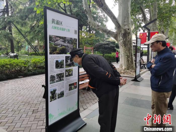 靜安公園主景道兩旁的懸鈴木都是120多年的古樹，是靜安公園的“鎮(zhèn)園之寶”?！￡愳o 攝