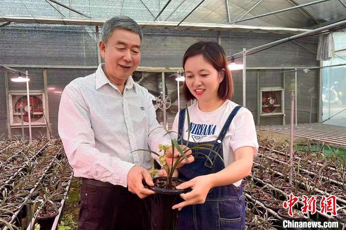 臺灣種蘭人40載扎根閩南：帶徒授藝造?；ㄞr(nóng)