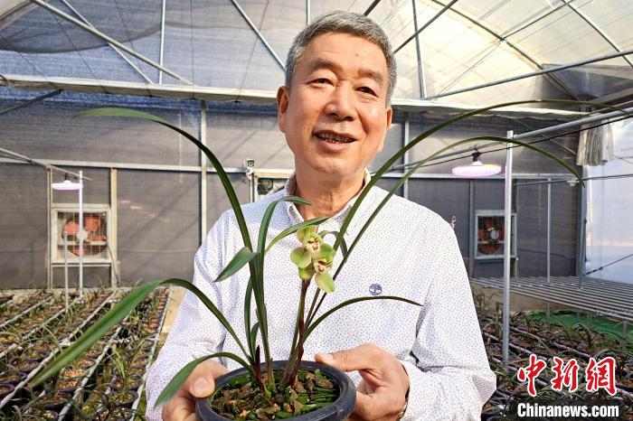 臺胞湯清喜向記者分享他在大陸種植蘭花故事?！×握涿?攝