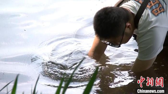 孫堅在西湖水中種水草?！∥骱蚬芾硖幑﹫D
