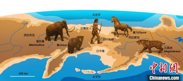 新生代水圈如何影響動(dòng)物圈？研究發(fā)現(xiàn)促古老類群向現(xiàn)代類群轉(zhuǎn)變
