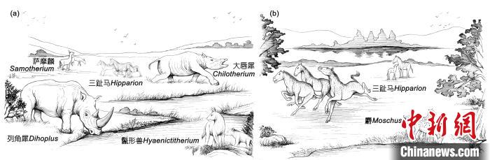 晚中新世華北地區(qū)三趾馬動(dòng)物群生態(tài)復(fù)原：(a) 華北西部； (b) 華北東部?！≈锌圃汗偶棺邓?供圖