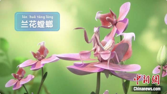 裸眼3D效果圖。供圖