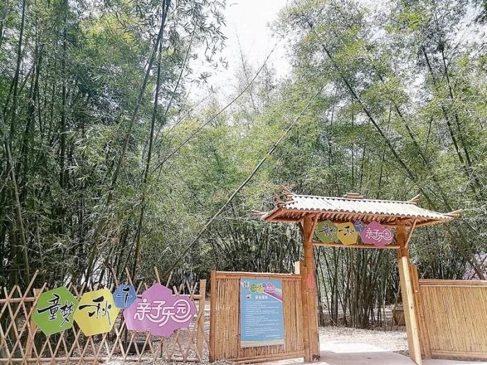 九渡村以荷、竹為重心，發(fā)展鄉(xiāng)村特色旅游。圖片來源：臺(tái)灣《聯(lián)合報(bào)》