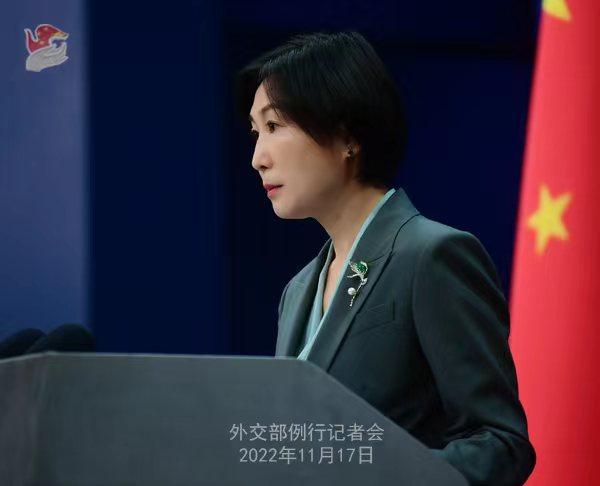 外交部發(fā)言人毛寧。薛偉 攝