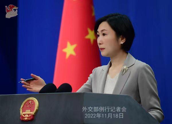 外交部發(fā)言人毛寧。薛偉 攝