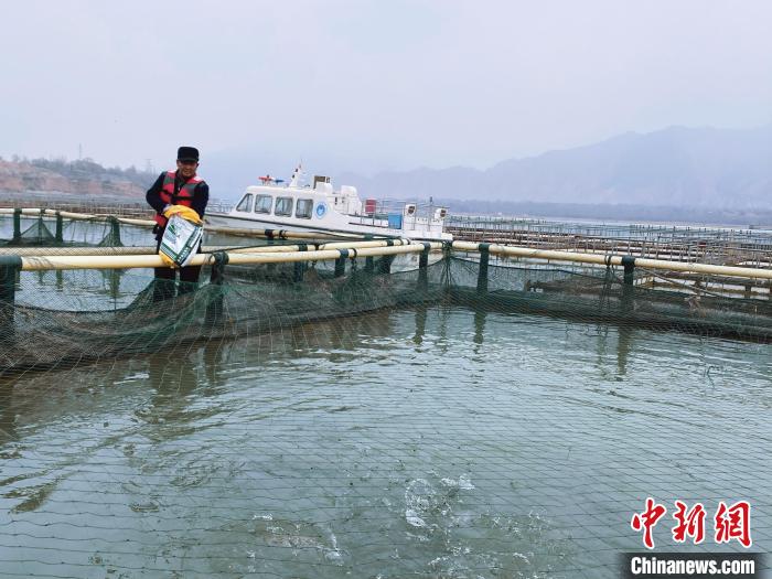 圖為水車村冷水魚養(yǎng)殖?！±钣穹?供圖