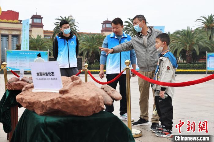 圖為2022年度江西省古生物化石保護利用科普宣傳活動南昌分會場，一位家長帶著孩子在觀看恐龍蛋化石?！⒘?攝