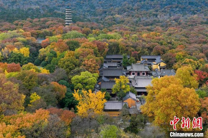鐘山風景區(qū)靈谷寺掩映在樹木中?！°蟛?攝
