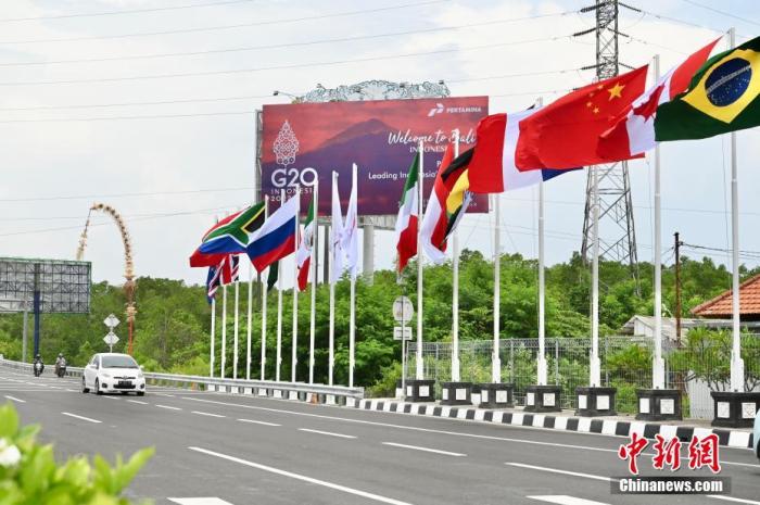 印尼巴厘島道路上G20成員國的國旗及歡迎海報。 <a target='_blank' href='/'>中新社</a>記者 李志華 攝