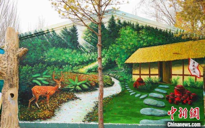 繪制好的鄉(xiāng)村墻繪。　寧夏文旅廳供圖