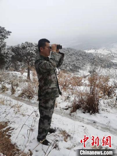 資料圖：大雪封山，護(hù)林員堅(jiān)持巡查，避免積雪壓折樹木 泰安市委宣傳部供圖