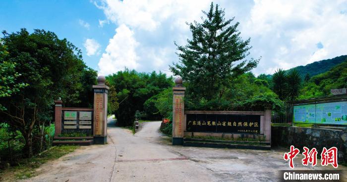 廣東連山筆架山省級自然保護區(qū)。　廣東連山筆架山省級自然保護區(qū) 攝