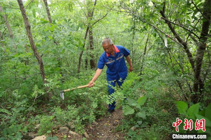 圖為張鶴珊巡護中用鐮刀開路。(資料圖) 曹建雄 攝