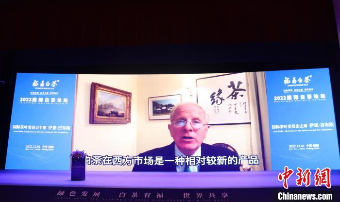 國際茶葉委員會主席伊恩·吉布斯視頻致辭?！×珠派?攝